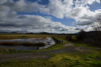 DSC_1015 (Large).JPG